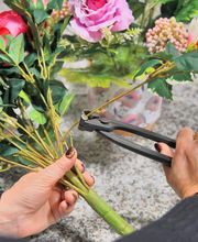 Gosset Léon image 9