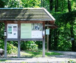FriedWald Burg Plesse Bild 11