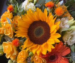 Blumen Petermann Bild 4