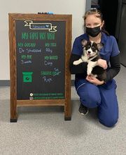 Bedford Oaks Family Vet image 19