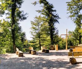 FriedWald Starzach Bild 7