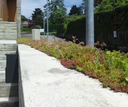 Evolution Paysage image 3