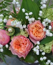 Zimmermann Flaach AG Blumen & Gartenbau Bild 2