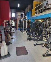 Gallery Cliente
