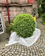 Gartenservice Mark Miess Bild 50