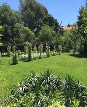 Taula Casolana Buffet imagen 12