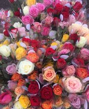 Bricomarché Saint Pierre lès Elbeuf image 16