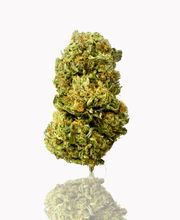 FACT FARM CBD - Produttore dal 2018 di Canapa Legale - CBD Shop Torino immagine 10