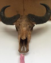 Les brocantes du tigre image 1