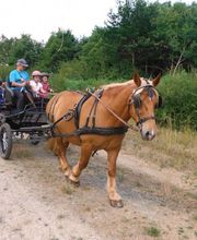 Estorges Isabelle image 9