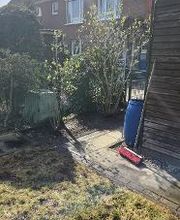 Helfer Äffchen Bild 10