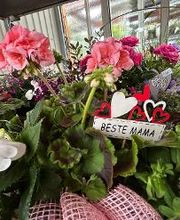 Blumen Haider Bild 7