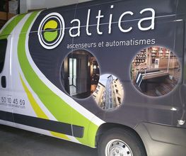 Altica image 5
