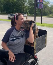 Barta Animal Hospital image 7