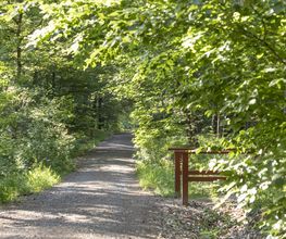 FriedWald Planitzwald Bild 10