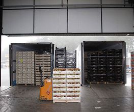 entrada-productos-03.jpg