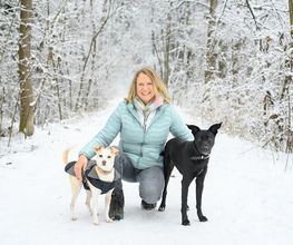 Trust in Dogs - mobile Hundeschule Bild 1
