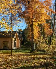 Métamorphose image 7