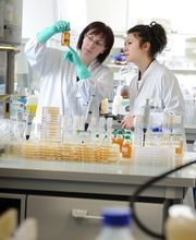 Solvias AG - Untersuchung im Labor