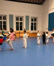 Taekwondo Presqu'île image 8