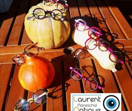 Laurent Mareschal Optique image 2