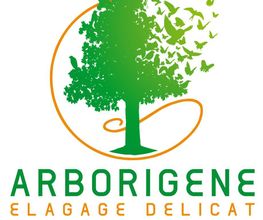 Arborigène image 3