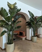 Dig It Gardens image 20