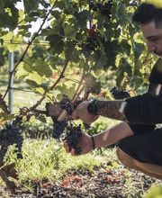 Domaine des Biolles Bild 5