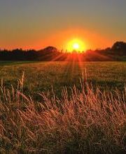 Bill Head Funeral Homes & Crematory/ Lilburn Tucker Chapel image 6