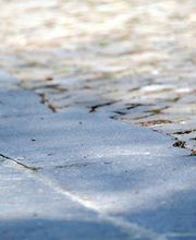 GGZ Gartenbau Bild 2