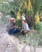 Le Jardin Adelis image 1