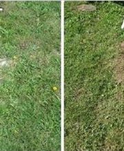 Clément Paysages image 19