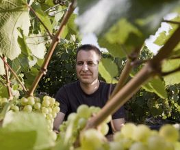 Domaine Fourrey image 4