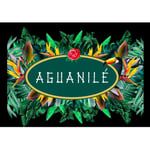 aguanilelogo.jpg