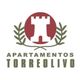 torreolivo_logo.jpg