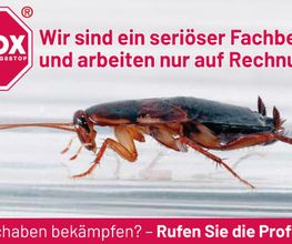 ATOX Schädlingsbekämpfungsfachbetrieb Bild 4
