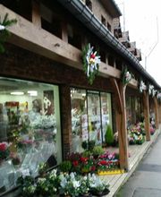 Fanny Fleurs image 2