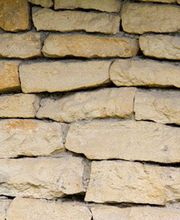 Fauchier Raymond image 1