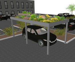 Naturdachwelten-GmbH-Carport-Biodiversität.png