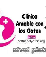 CLINICA-AMABLE-CON-LOS-GATOS-SALAMANCA.jpg