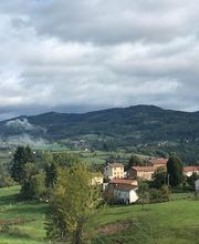 B Bois Forêts image 19