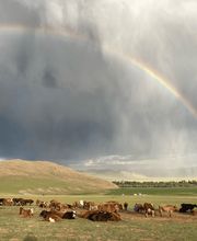Explore Mongolia Bild 10