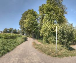 FriedWald Starzach Bild 8