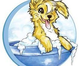 Com Chien Et Chat image 3