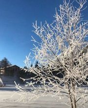 Administration communale et bourgeoisiale Administration communale d'Orsières Bild 4