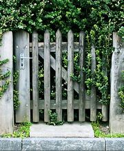 Hunziker Garten AG Bild 4