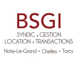 BSGI image 1