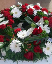 Flowers image 8