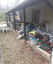 Feitz Dominique image 1