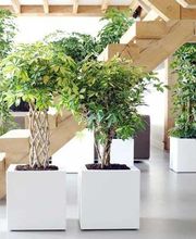 823457-galaleria-4.jpg
